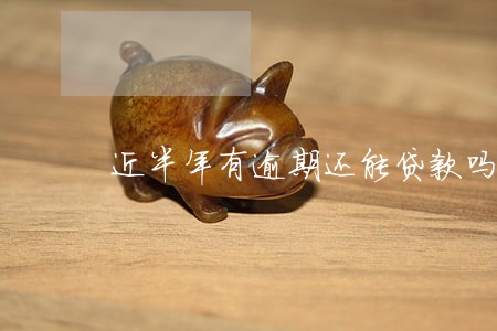 近半年有逾期还能贷款吗 近半年有逾期还能贷款吗
