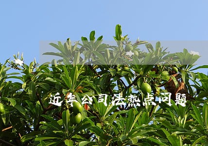 近年公司法热点问题 近年公司法热点问题