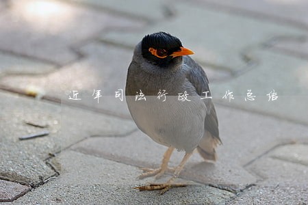 近年司法行政工作总结 近年司法行政工作总结