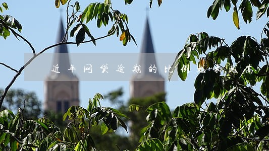 近年网贷逾期的比例越来越高 近年网贷逾期的比例越来越高