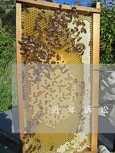 近年诉讼及仲裁情况 近年诉讼及仲裁情况