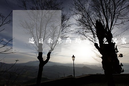 近日南京两起追逐竞驶案法院宣判 近日南京两起追逐竞驶案法院宣判