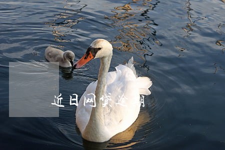 近日网贷逾期 近日网贷逾期