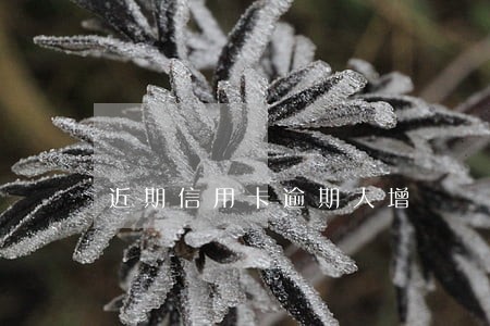 近期信用卡逾期大增 近期信用卡逾期大增