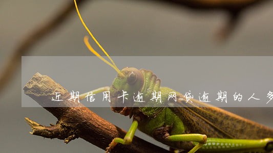 近期信用卡逾期网贷逾期的人多不 近期信用卡逾期网贷逾期的人多不