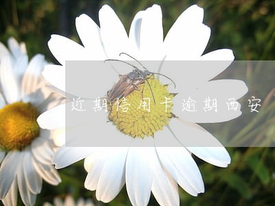 近期信用卡逾期西安 近期信用卡逾期西安
