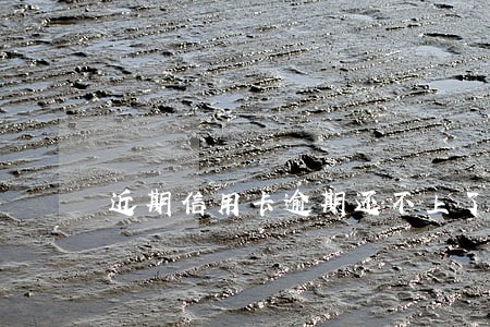 近期信用卡逾期还不上了怎么办 近期信用卡逾期还不上了怎么办