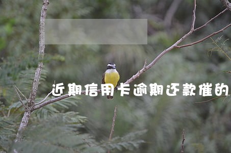 近期信用卡逾期还款催的紧紧 近期信用卡逾期还款催的紧紧