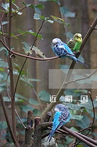 近期国标法规更新及市场动态 近期国标法规更新及市场动态