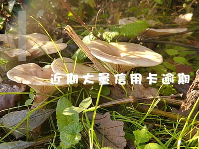 近期大量信用卡逾期