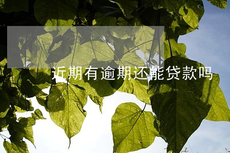近期有逾期还能贷款吗 近期有逾期还能贷款吗
