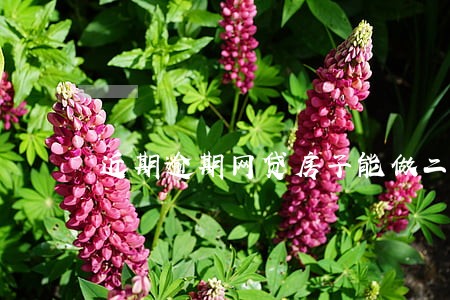 近期逾期网贷房子能做二抵嘛 近期逾期网贷房子能做二抵嘛