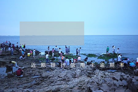 近期银行信用卡逾期率 近期银行信用卡逾期率