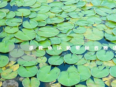 返聘协议和劳动合同法 返聘协议和劳动合同法