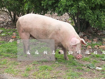 返还利息诉讼时效的起算点
