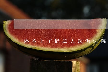 还不上了借款人起诉法院拍 还不上了借款人起诉法院拍