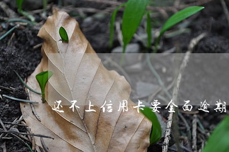 还不上信用卡要全面逾期吗