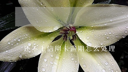 还不上信用卡逾期怎么处理 还不上信用卡逾期怎么处理