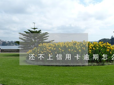 还不上信用卡逾期怎么处理方法 还不上信用卡逾期怎么处理方法