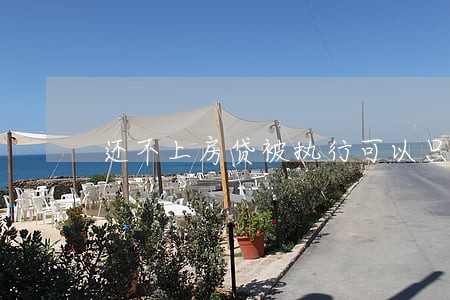 还不上房贷被执行可以只还本金吗 还不上房贷被执行可以只还本金吗