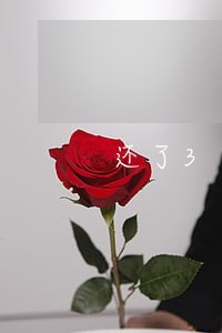 还了3个月捷信金融逾期款 还了3个月捷信金融逾期款