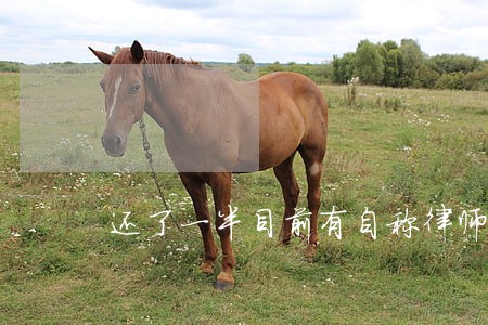 还了一半目前有自称律师事务所的 还了一半目前有自称律师事务所的