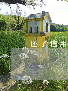 还了信用卡为什么还显示逾期