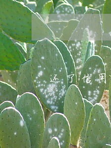 还了信用卡逾期还是呆账 还了信用卡逾期还是呆账