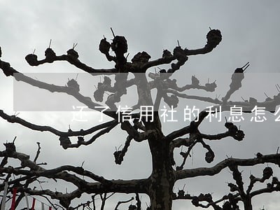 还了信用社的利息怎么还显示逾期 还了信用社的利息怎么还显示逾期
