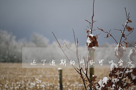还了逾期的网贷可以坐火车吗 还了逾期的网贷可以坐火车吗