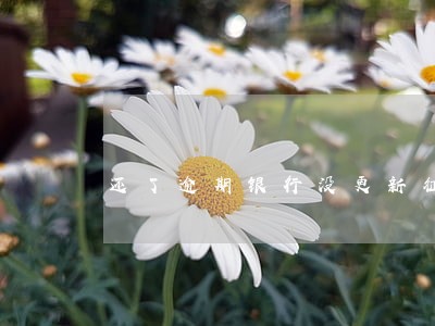 还了逾期银行没更新征信 还了逾期银行没更新征信