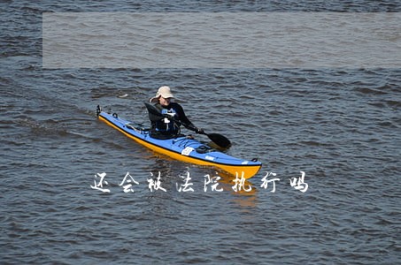 还会被法院执行吗 还会被法院执行吗