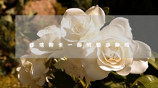 还信用卡一部分算逾期吗 还信用卡一部分算逾期吗