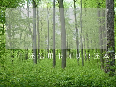 还信用卡可以只还本金吗 还信用卡可以只还本金吗
