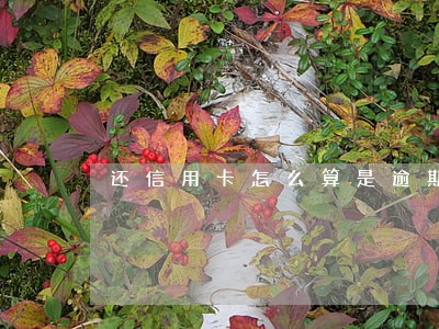 还信用卡怎么算是逾期 还信用卡怎么算是逾期