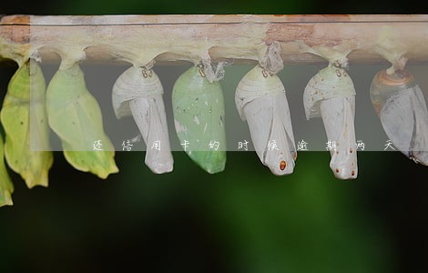 还信用卡的时候逾期两天 还信用卡的时候逾期两天