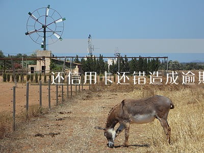 还信用卡还错造成逾期 还信用卡还错造成逾期