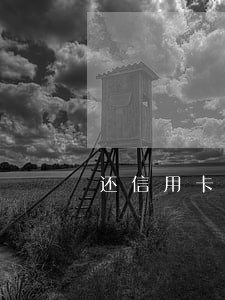 还信用卡逾期一天怎么办 还信用卡逾期一天怎么办