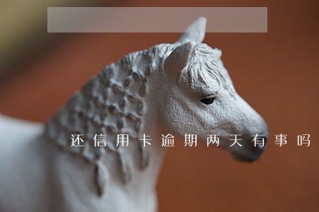 还信用卡逾期两天有事吗