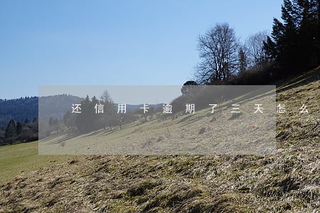 还信用卡逾期了三天怎么办 还信用卡逾期了三天怎么办