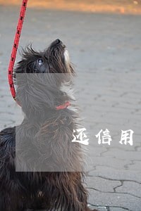 还信用卡逾期了会怎么样