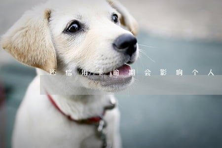 还信用卡逾期会影响个人征信吗 还信用卡逾期会影响个人征信吗