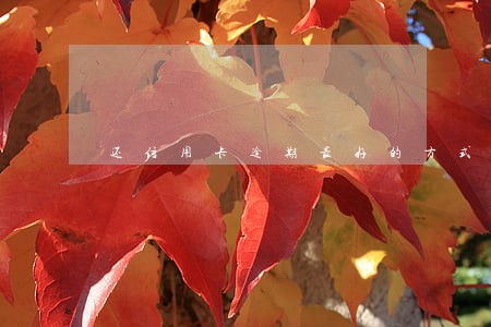 还信用卡逾期最好的方式 还信用卡逾期最好的方式