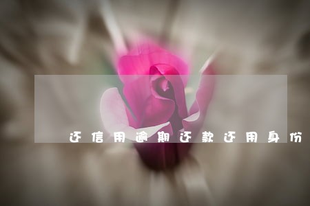 还信用逾期还款还用身份证吗 还信用逾期还款还用身份证吗
