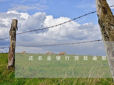 还农业银行贷款逾期一天 还农业银行贷款逾期一天