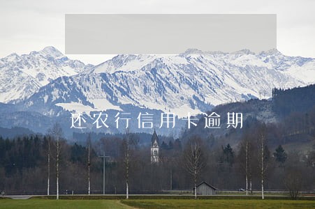 还农行信用卡逾期 还农行信用卡逾期