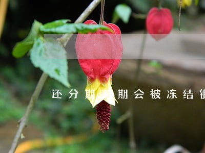 还分期逾期会被冻结银行卡吗 还分期逾期会被冻结银行卡吗
