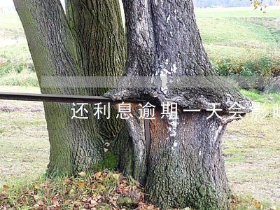 还利息逾期一天会影响贷款吗 还利息逾期一天会影响贷款吗
