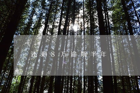 还剩8万逾期半年 还剩8万逾期半年