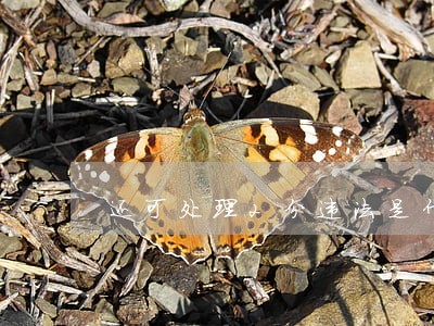 还可处理2分违法是什么意思 还可处理2分违法是什么意思